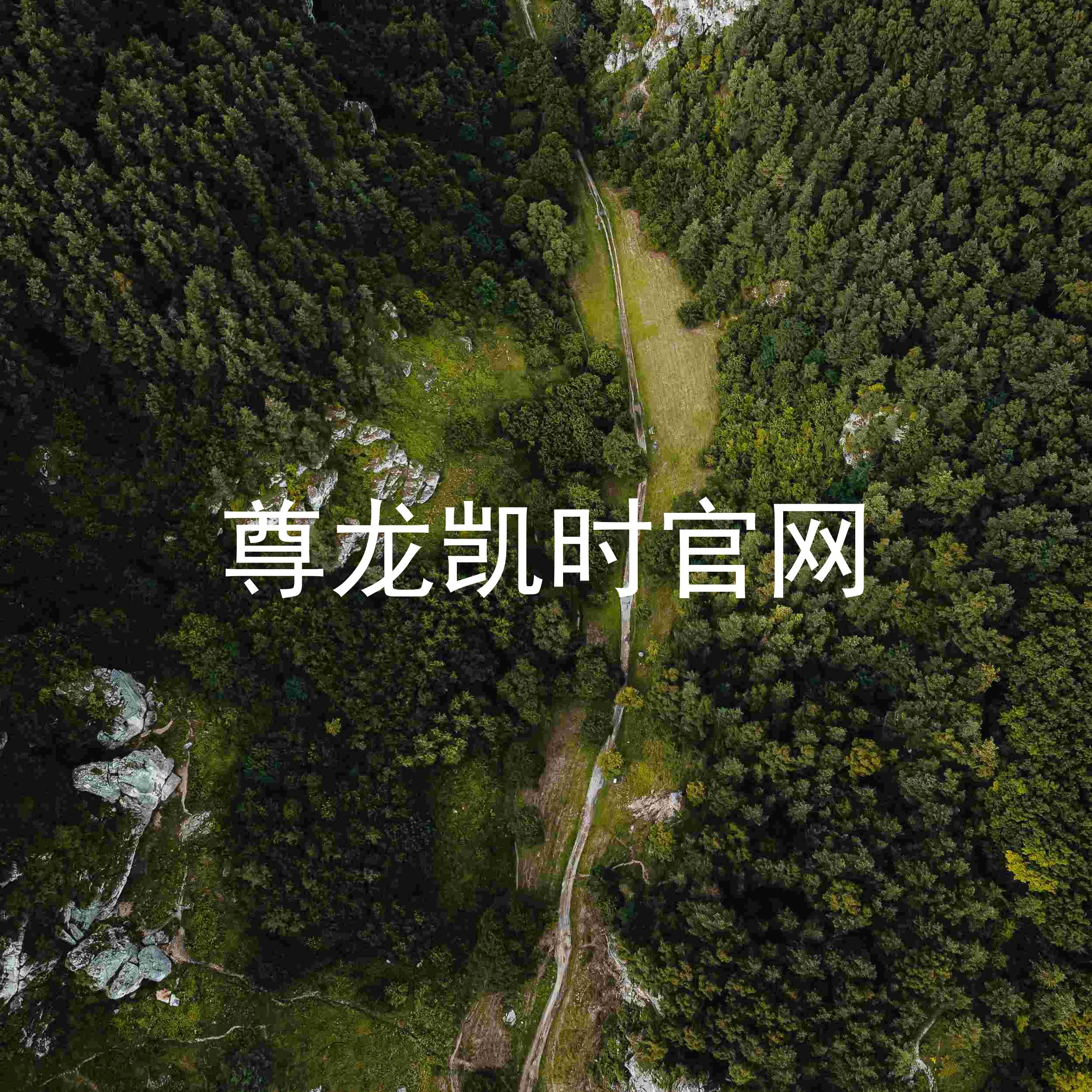 尊龙凯时官网