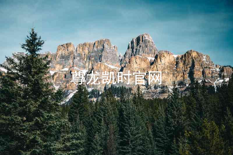 尊龙凯时官网