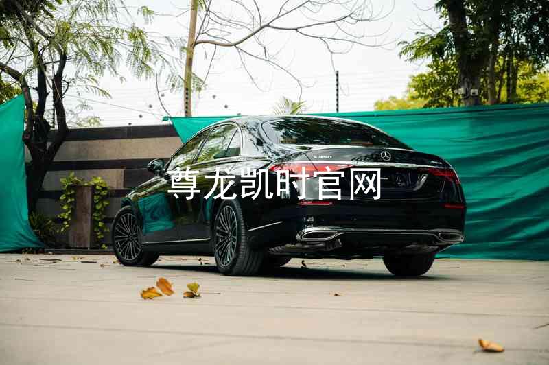 尊龙凯时官网
