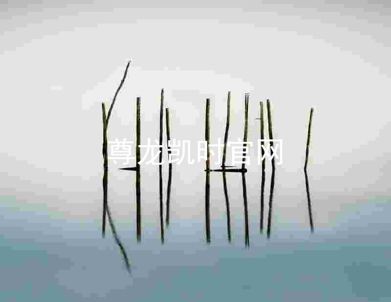 尊龙凯时官网