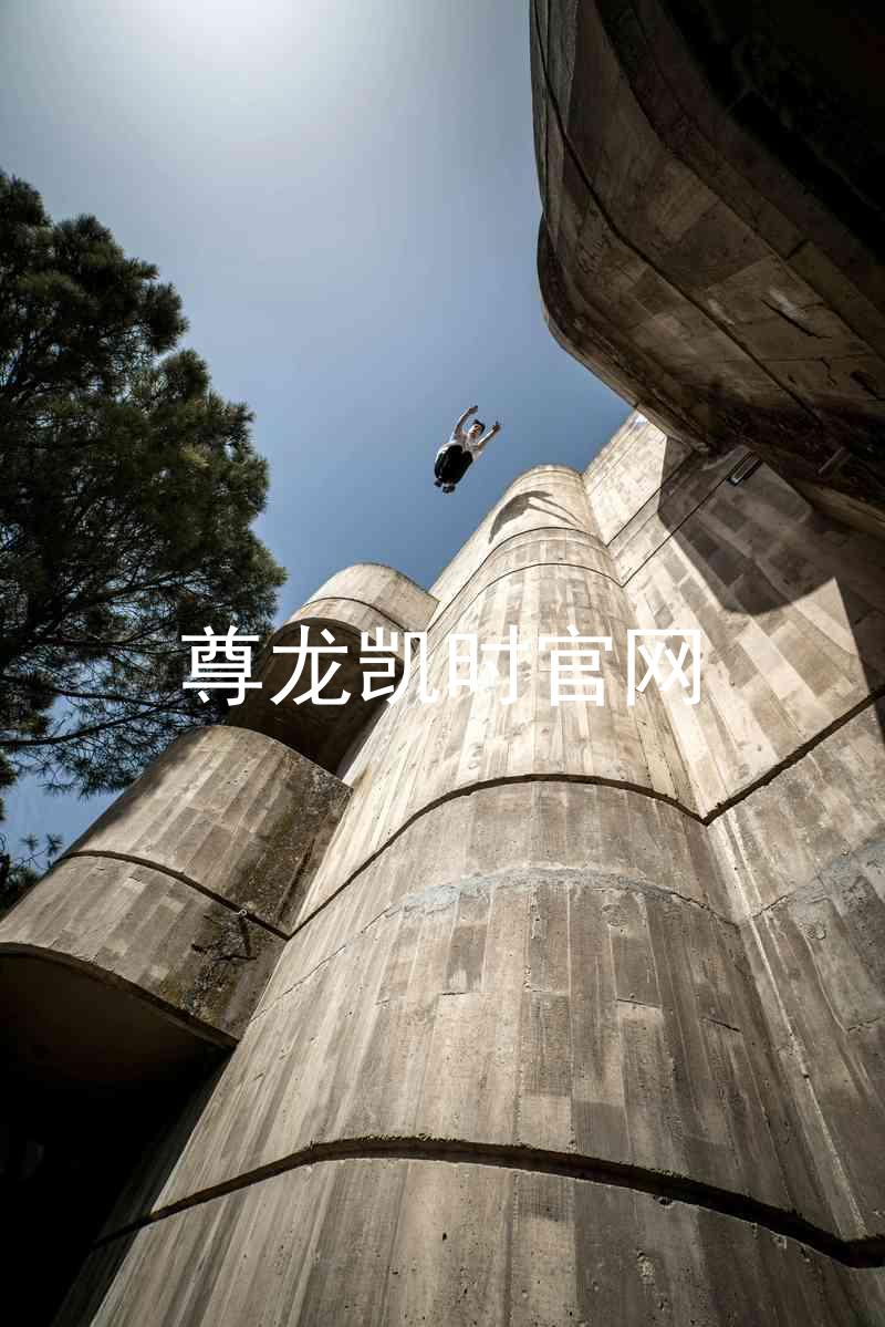 尊龙凯时官网