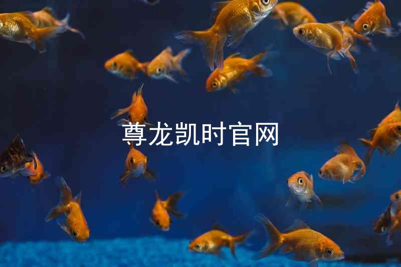 尊龙凯时官网