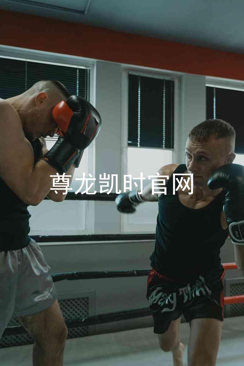 尊龙凯时官网