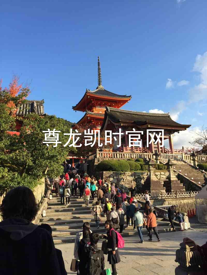 尊龙凯时官网